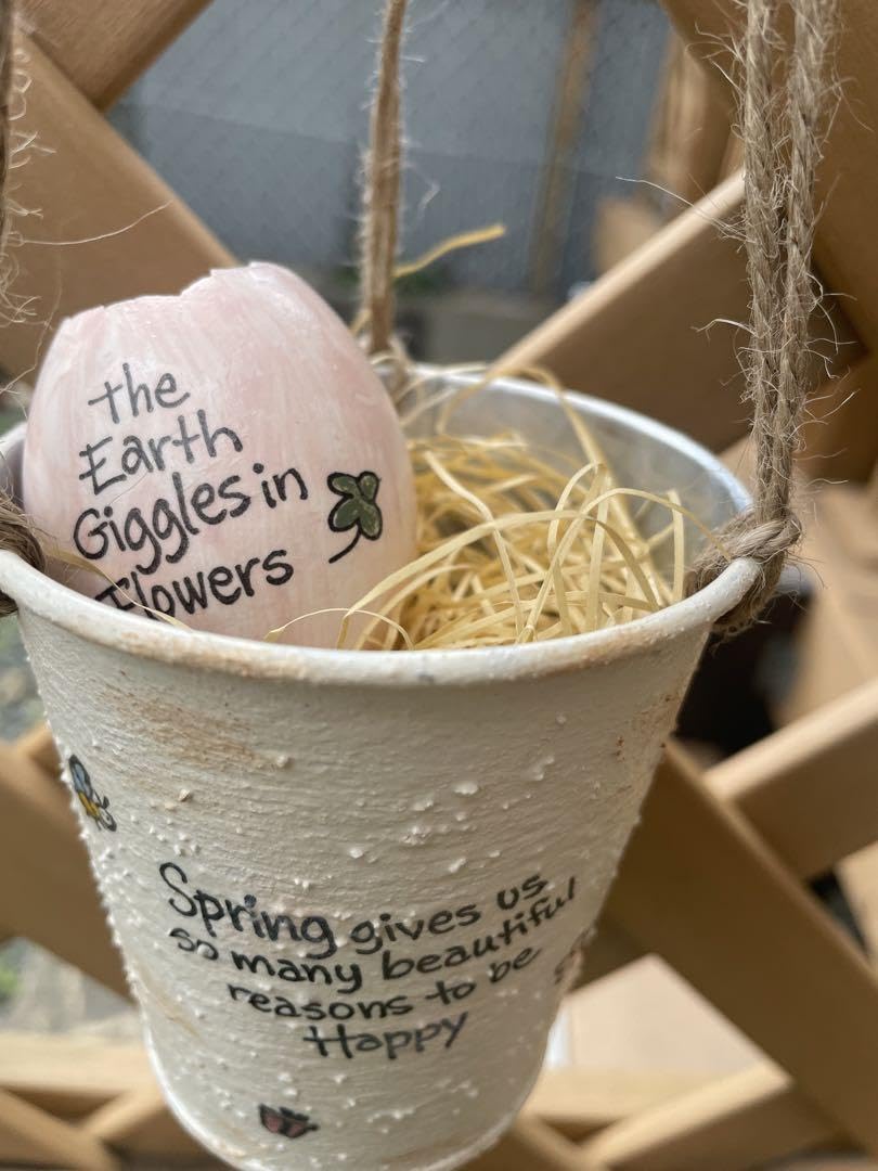 Amazon.co.jp: ピンクたまご鉢付き リメ缶 リメイク缶 リメイク鉢 多肉  