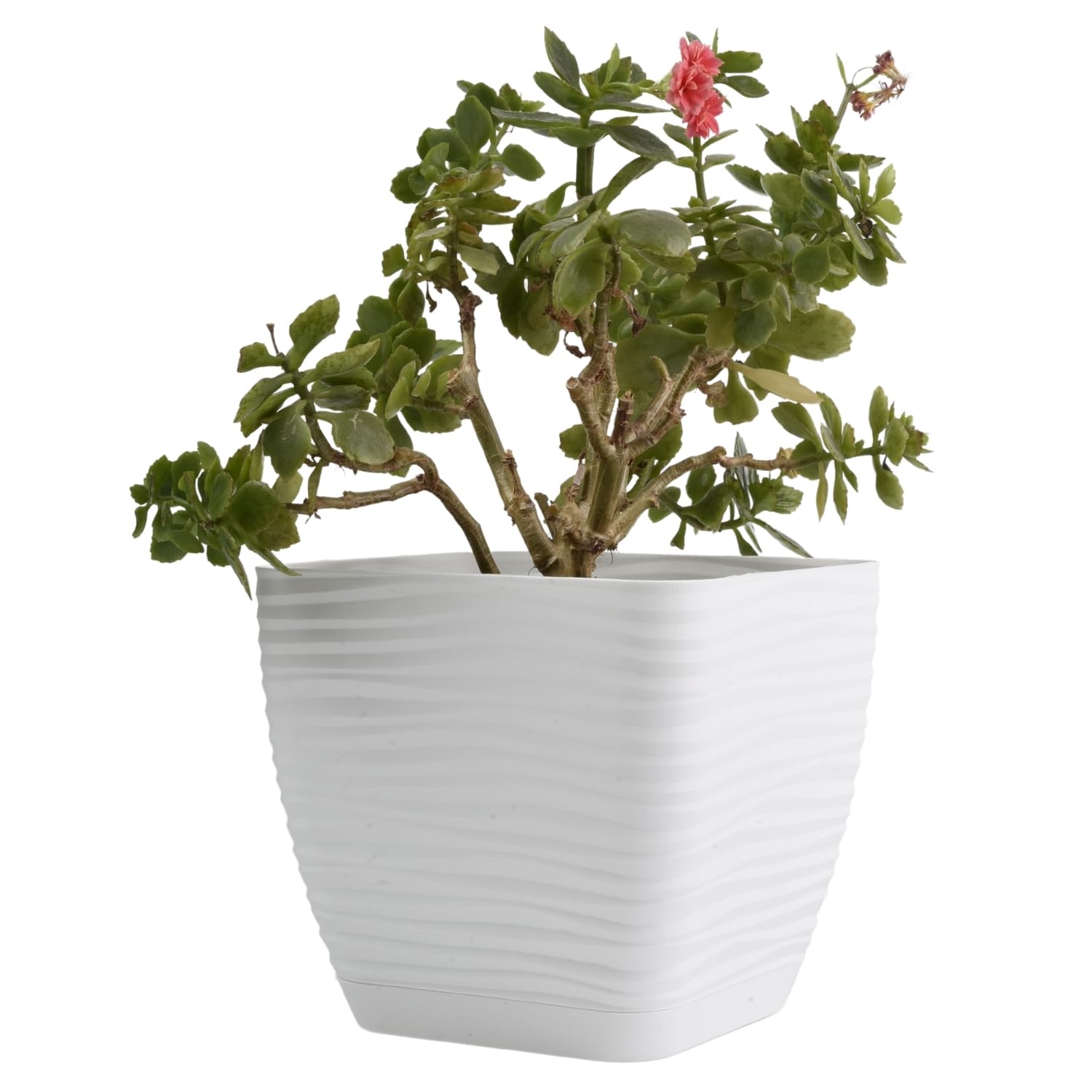 B2c White Plant Pot Flowerpot Square Plastic Modern Decorative Wave Grooves Textured Elegant & Modern With Saucer (, 11Cm)