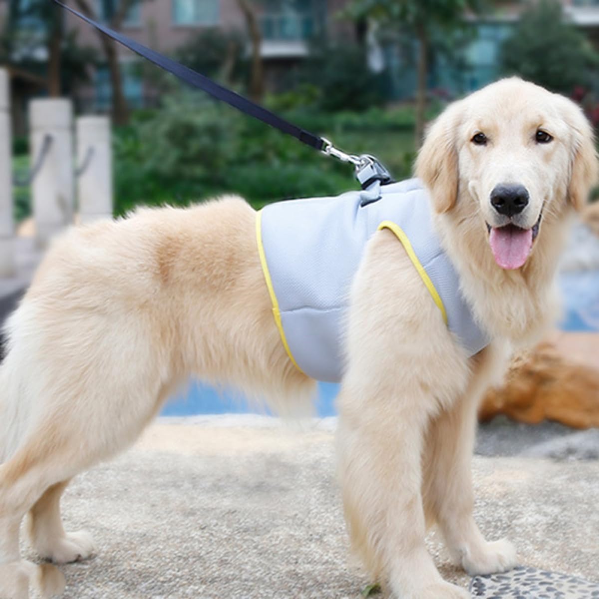 Kisangel Kühlweste Für Hunde Aus Atmungsaktivem Material Wärme Und Schweißabsorbierend Mit Verstecktem Schnellverschluss Und Zugseil Für Outdoor-aktivitäten