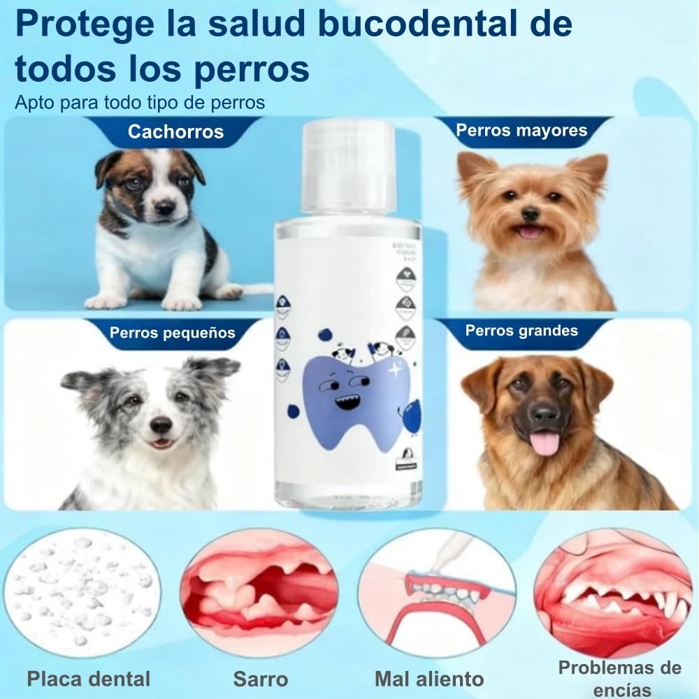 MEIION Balyxe Enjuague bucal para Perros - Elimina Mal Aliento, Refresca y Promueve Encias - Hogar y Exterior
