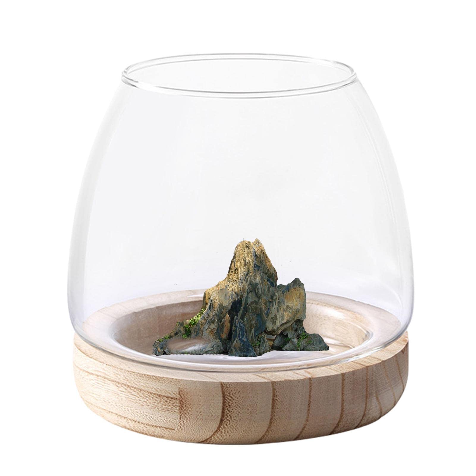 Bocal à Poissons en Verre avec Base en Bois, Petit Aquarium pour Poissons Betta Rouges, Vase en Verre pour Pla-nte Hydroponique, Vase à Fleurs pour Décoration de Bureau Maison