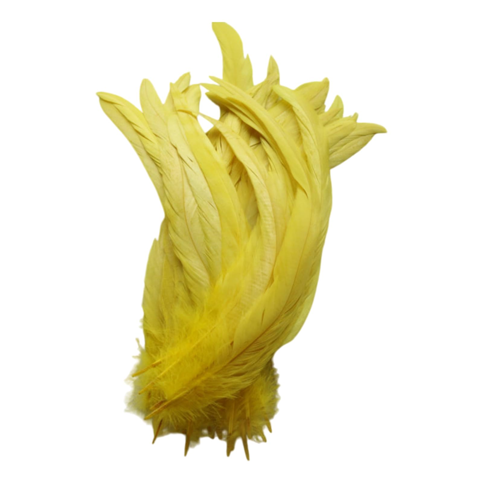 NRVTRE 40Pcs Decorative Plumage 25 30Cm for Professional Costume Making and Art Quills for Crafting