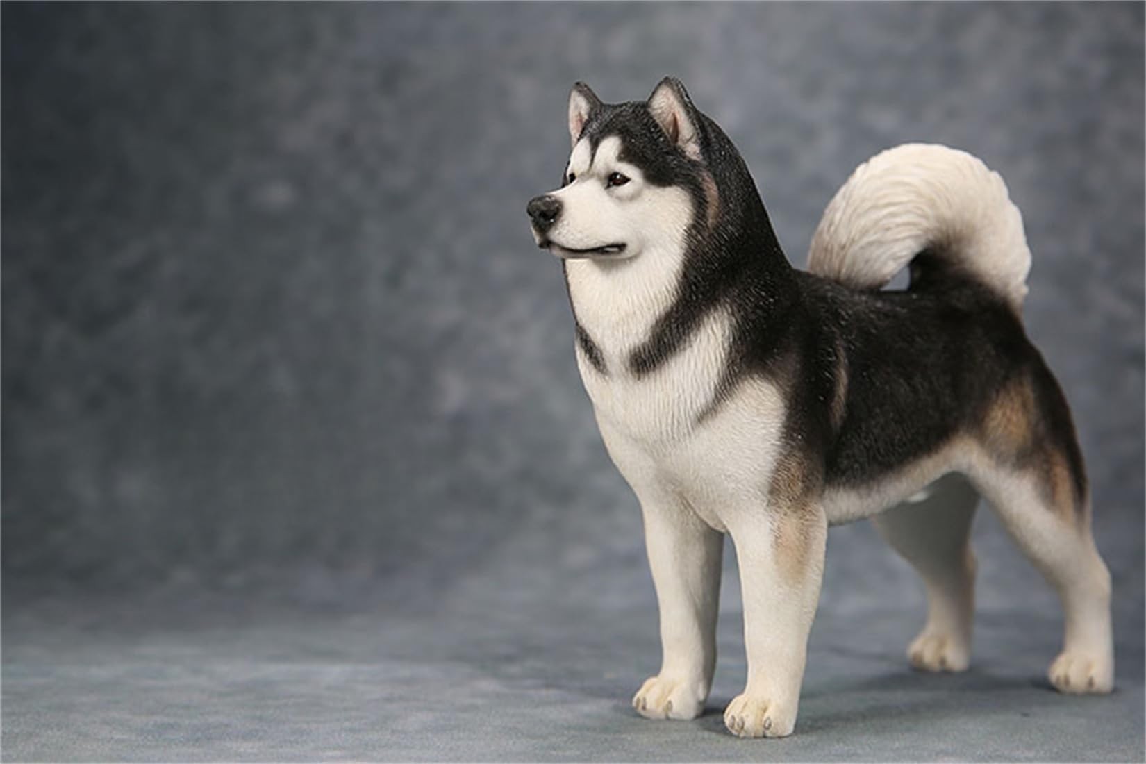 Amazon.co.jp: Lana Toys 1:6スケール アラスカ マラミュート 犬