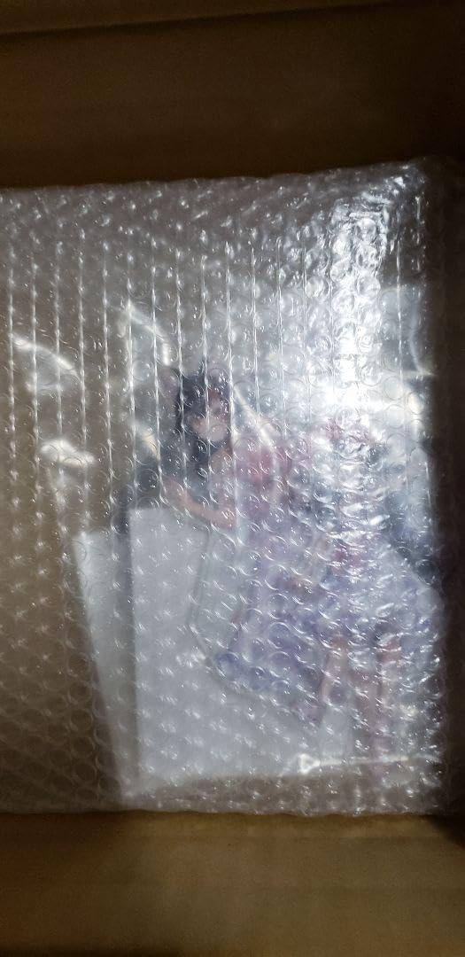 フブミオ5周年記念フルセット+α Amazon.co.jp: フブミオ 5周年記念フルセット 白上フブキ 大神