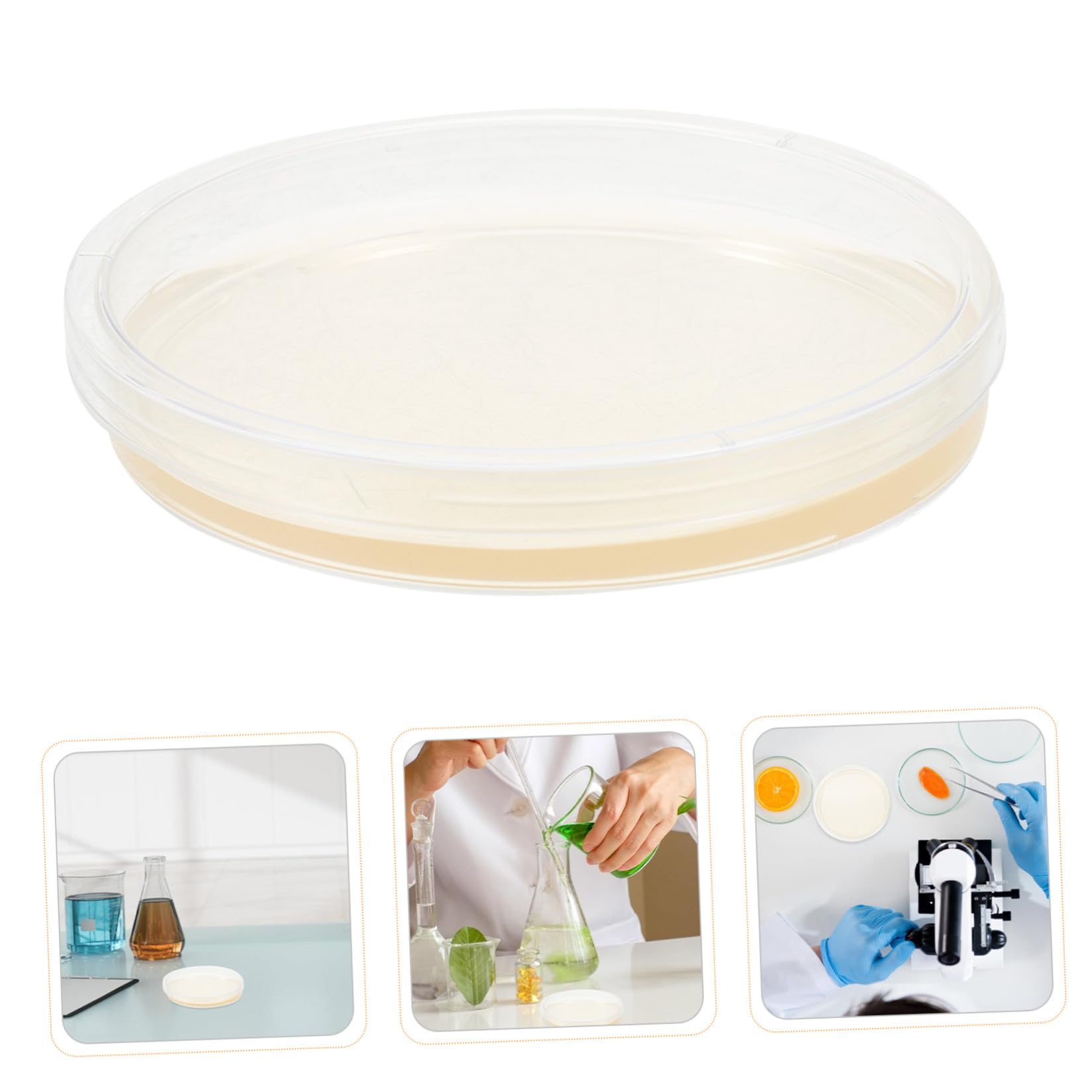 Alipis Piastre di Petri in Plastica Sterili Agar Nutriente Pre-colato, 20 Pezzi, 9cm, per Colture Cellulari e Sperimenti di Laboratorio, Crescita Stabile e Confezione Sterile