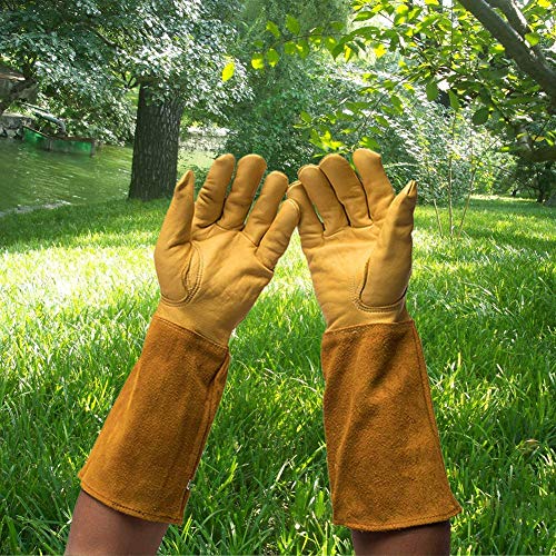 Preisvergleich Produktbild Asdomo Professionelle Lange Gartenhandschuhe Ziegenleder Dornschutz Gartenhandschuhe mit langem Rindsleder Stulpe für Blumenpflanzen, Beschneiden