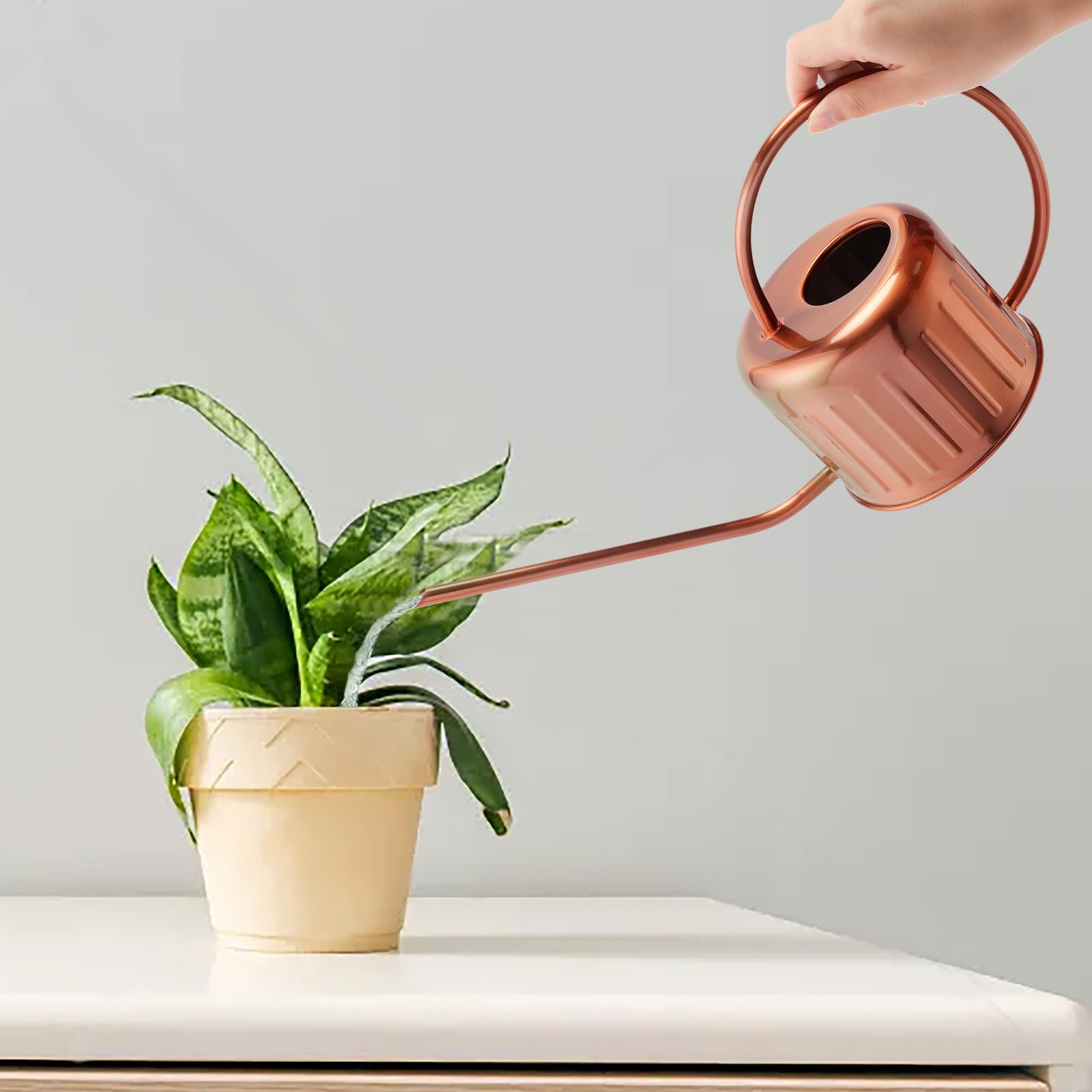 Regadera de cobre de 34 onzas, regadera pequeña para plantas de interior, regadera de metal con boquilla larga, regadera de interior y exterior, regadera de flores, regadera de plantas,