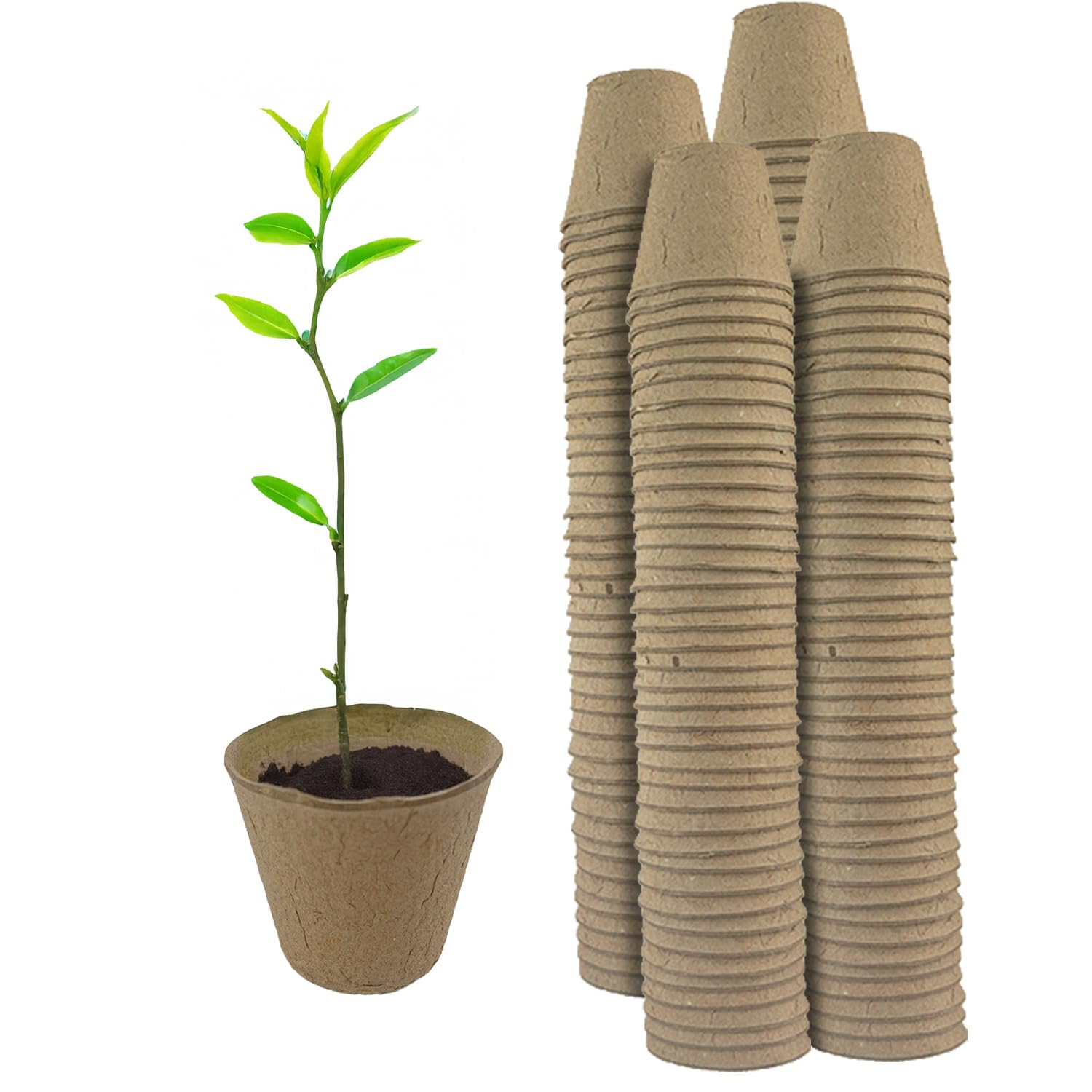 Woodside Brown 160 Pack Compostable Plant Pots 6Cm – Biodegradable Paper Seedling Pots, Eco Friendly Garden Growing Pots