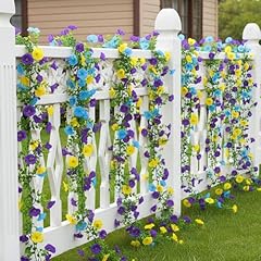 Purple,yellow & Blue