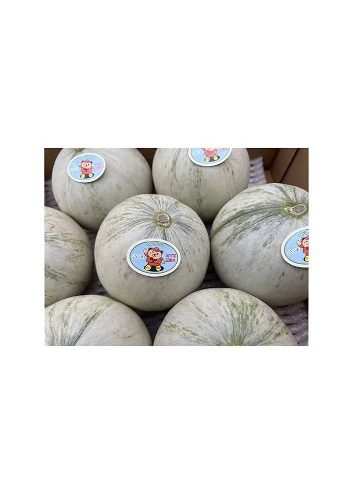 メロン☆購入前在庫＆プロフ確認お願い メロン 訳あり 規格外 約4〜5kg（3〜7玉） 山形県庄内産 ご自宅