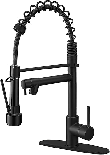 BESy Grifo de cocina con rociador extraíble, mango único de arco alto, resorte de una sola palanca, grifo de fregadero de cocina con rociador
