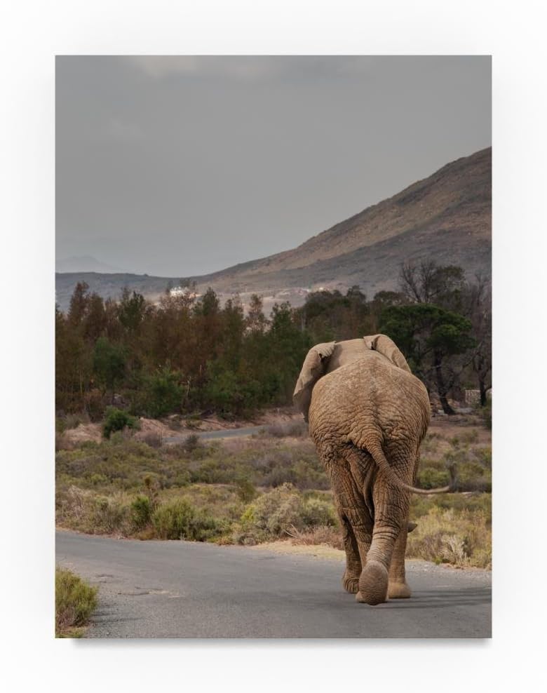Elephant on the Road by Thom Sivo, 18x24-Inch Canvas Wall Art