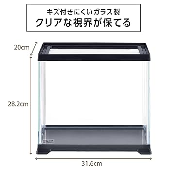 Amazon | エキゾテラ GEX EXOTERRA レプテリアブラック 300High