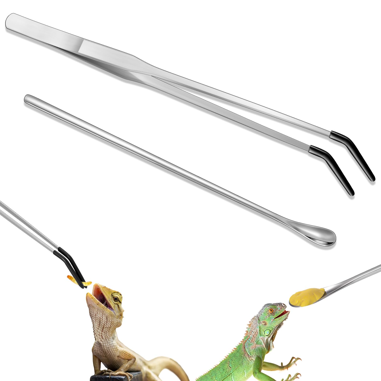 Lasnten 2 Pcs Stainless Steel Reptile Feeding Tong - terrarium accessories | Mubboo