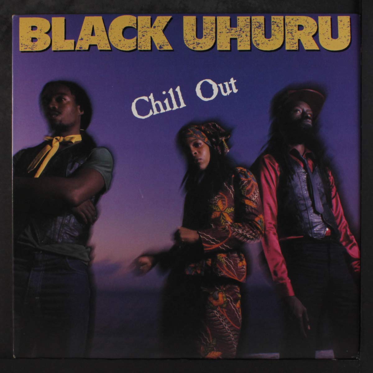 Chill out / Vinyl record [Vinyl-LP]