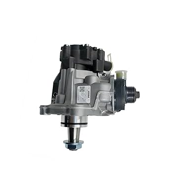 ちょん Amazon.com: Haiyazhma Fuel Injection Pump 5801470100