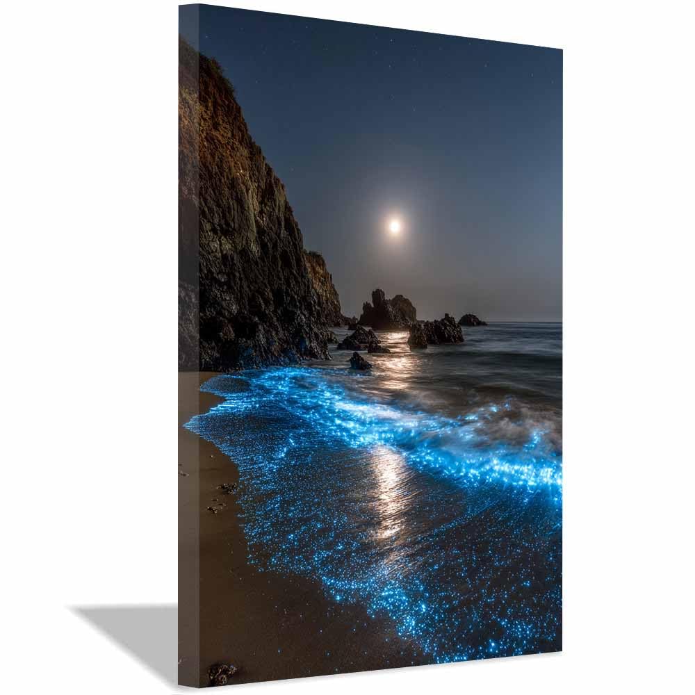 XENIOU Landscape Wall Art Glowing Night Beaches modern canvas wall art, decorative paintings, canvas painting wall art for Home Decor.(Multicolor)-70x100cm Framed