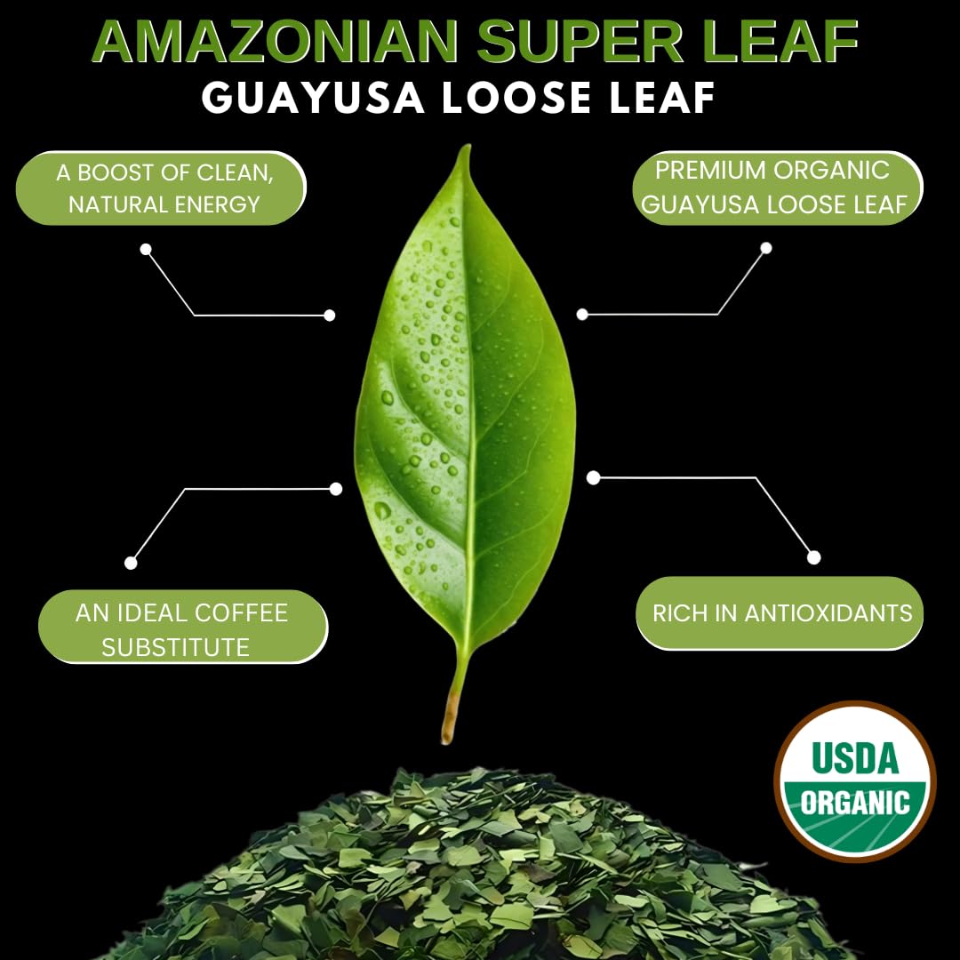 Amazonian Treasure Organic Guayusa Loose Leaf Tea, 16 OZ (1LB), Smooth Energy Boost, Alternative to Coffee & Yerba Mate, 60 mg Caffeine per Serving. - Image 3