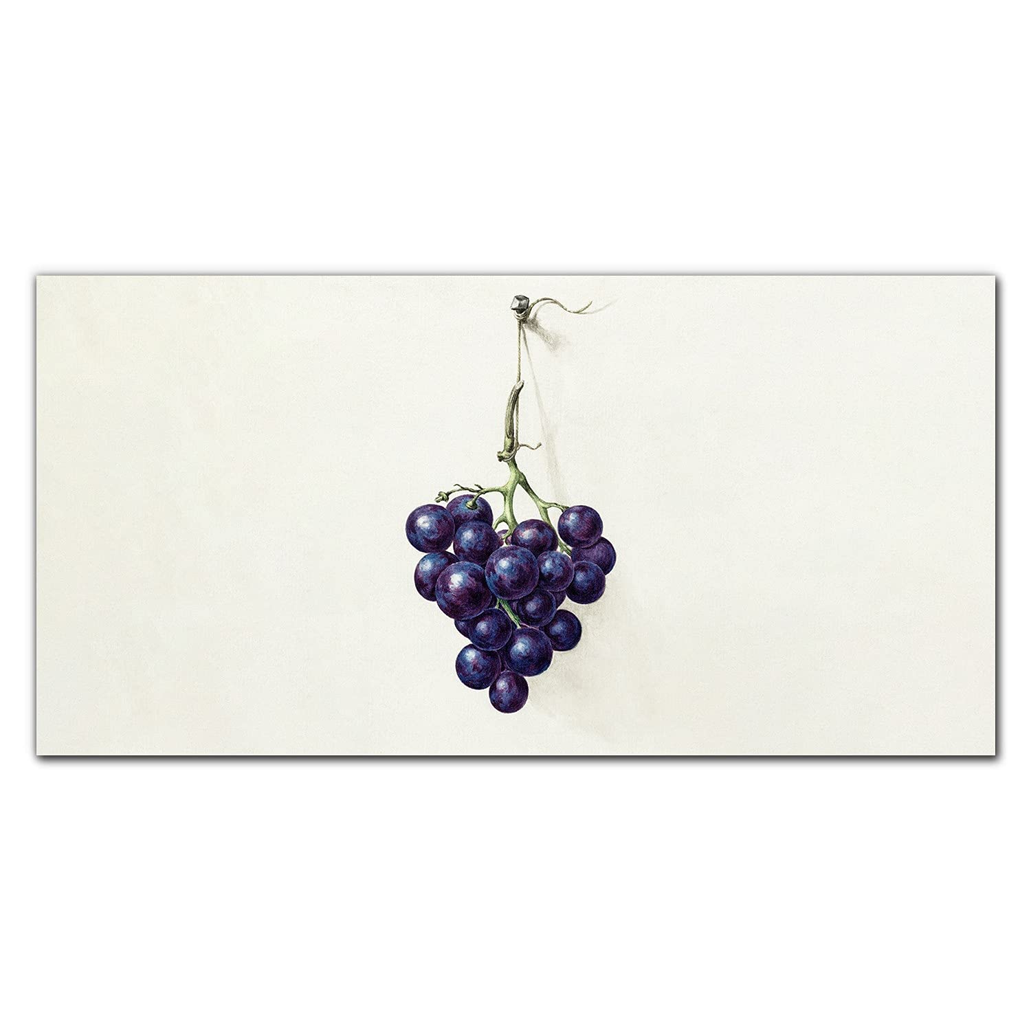 Crédence de cuisine dosseret en verre trempé 120x60cm fond de hotte adhésif