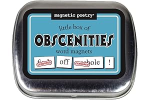 Magnetic Poetry - Little Box of Obscenities Kit - Words for Refrigerator