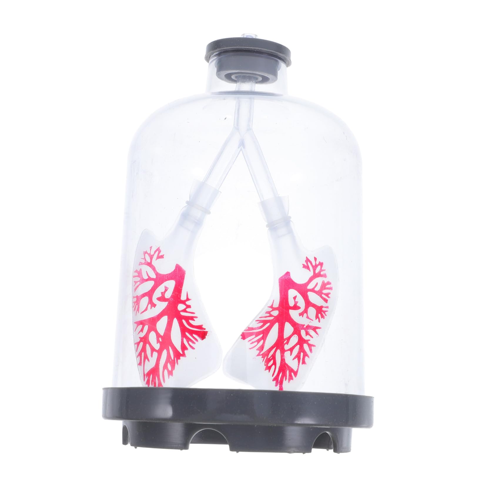 Lung Breathing Model Teaching Tool, Plastic Diaphragm Movement Simulator