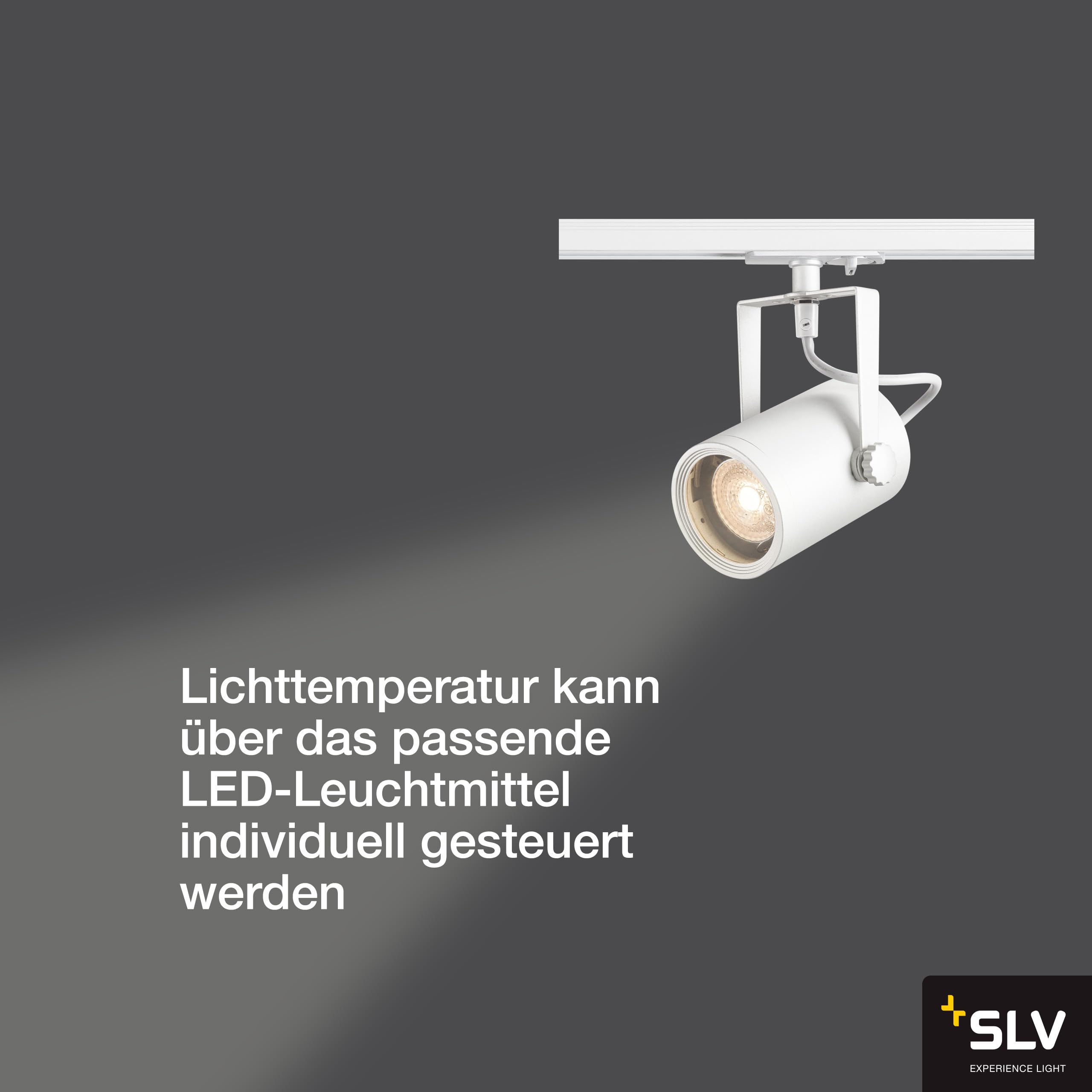 SLV spot gU10; max. 25 w; 1P-adaptateur 143811 blanc