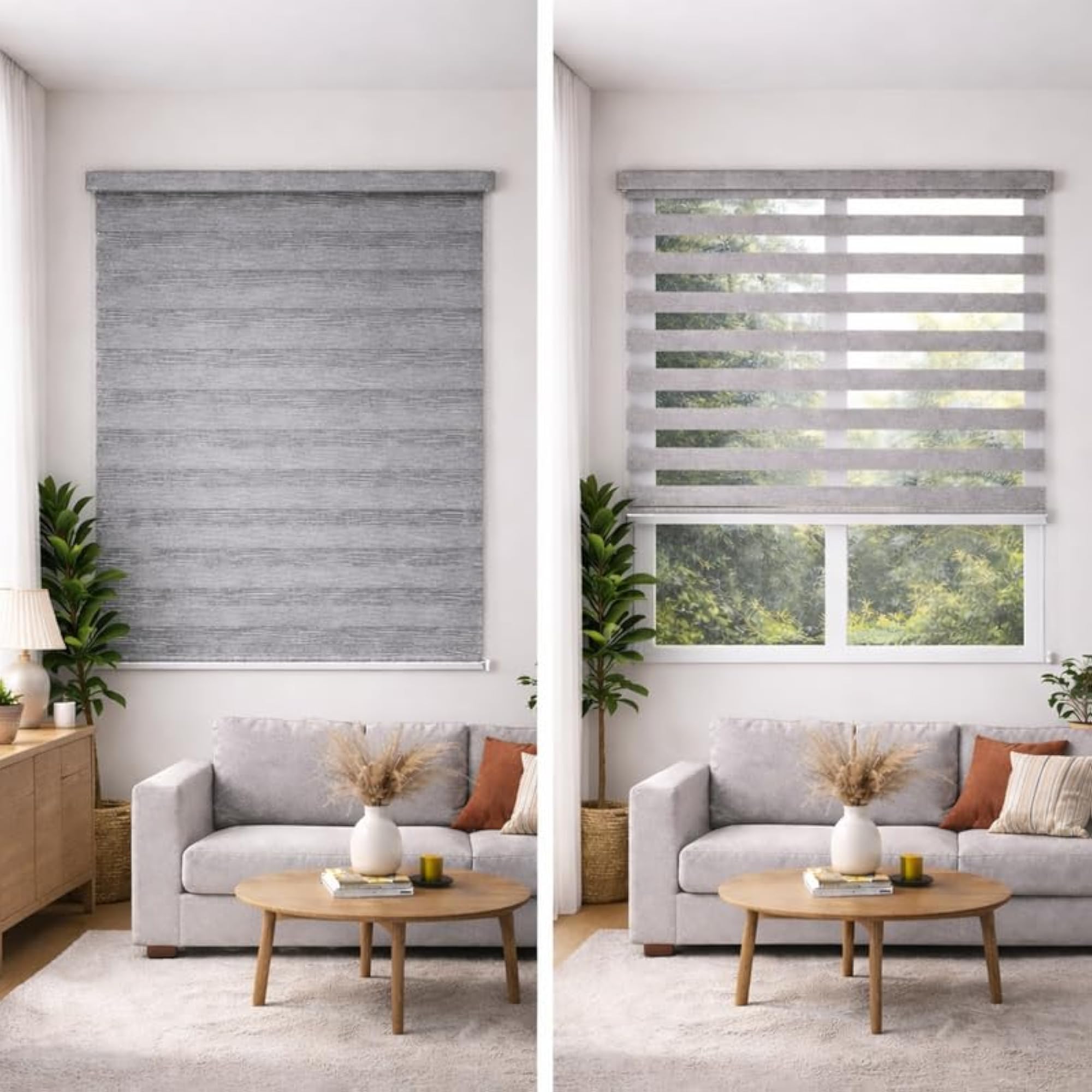 Zebra for Windows, Dual Layer Roller Shades