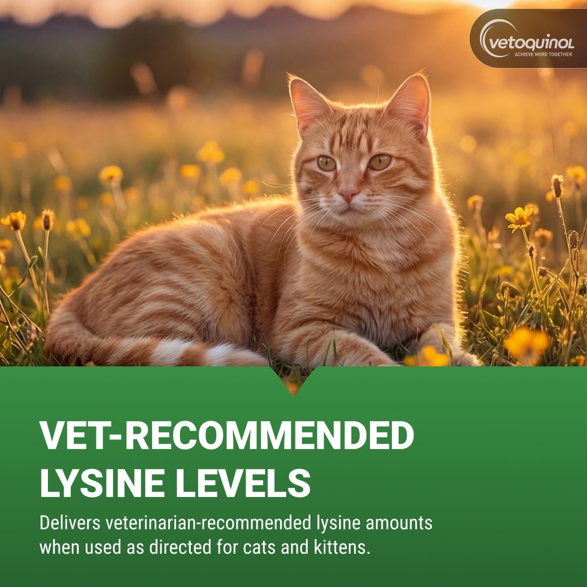 Vetoquinol Viralys, Lysine Oral Gel for Cats and Kittens, 5 oz — Amazon image 5