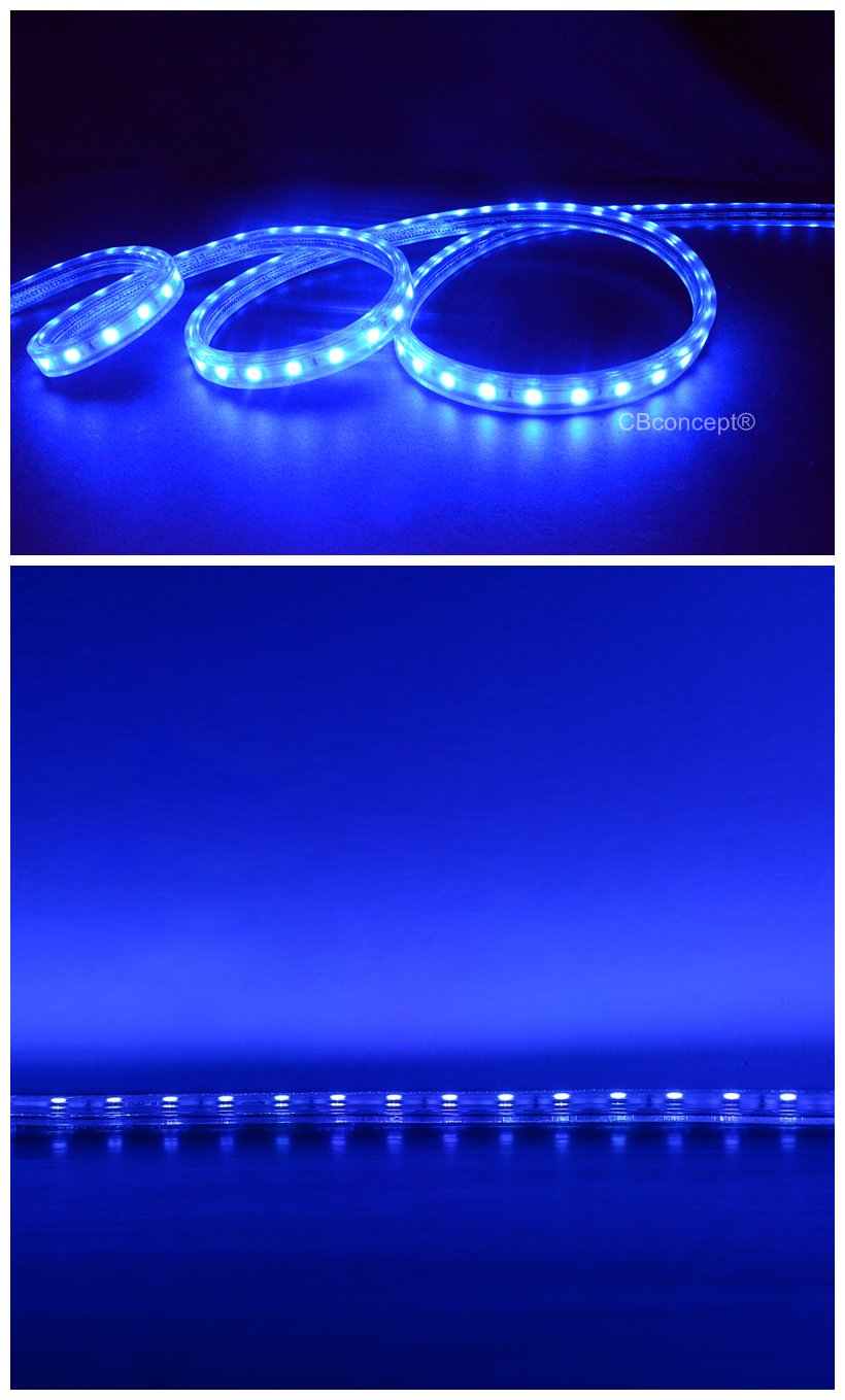 CBConcept UL Listed, 100 Feet,Super Bright 27000 Lumen, Blue, Dimmable, 110-120V AC Flexible Flat LED Strip Rope Light, Commercial Grade, Indoor Outdoor use, Ready to plug n shine