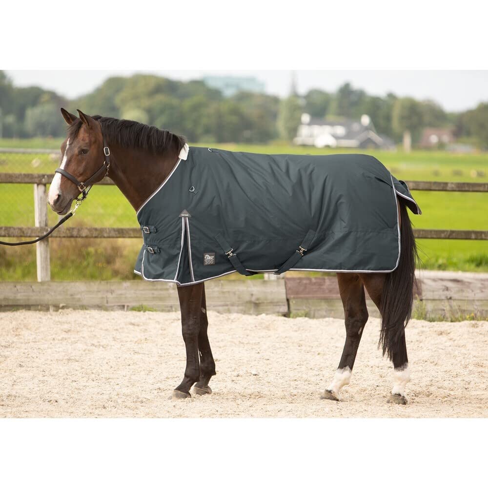 Harry's Horse Manta para Caballos de Exterior Thor 300