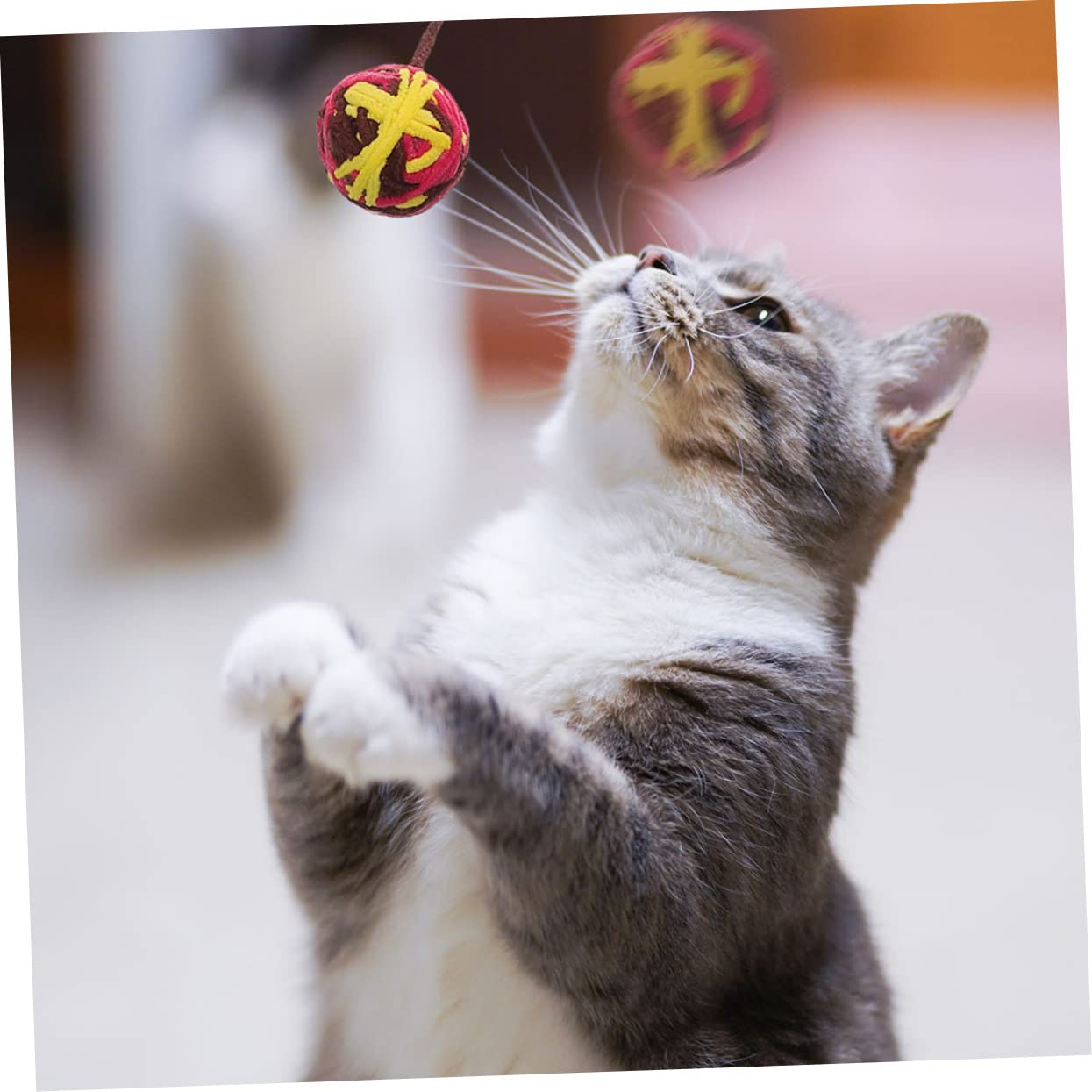 Supvox 25stücke Katzenbälle Interaktive Katzenspielzeuge Fitness Und Beschäftigung Für Kätzchen Buntes Für Stundenlangen Spielspaß
