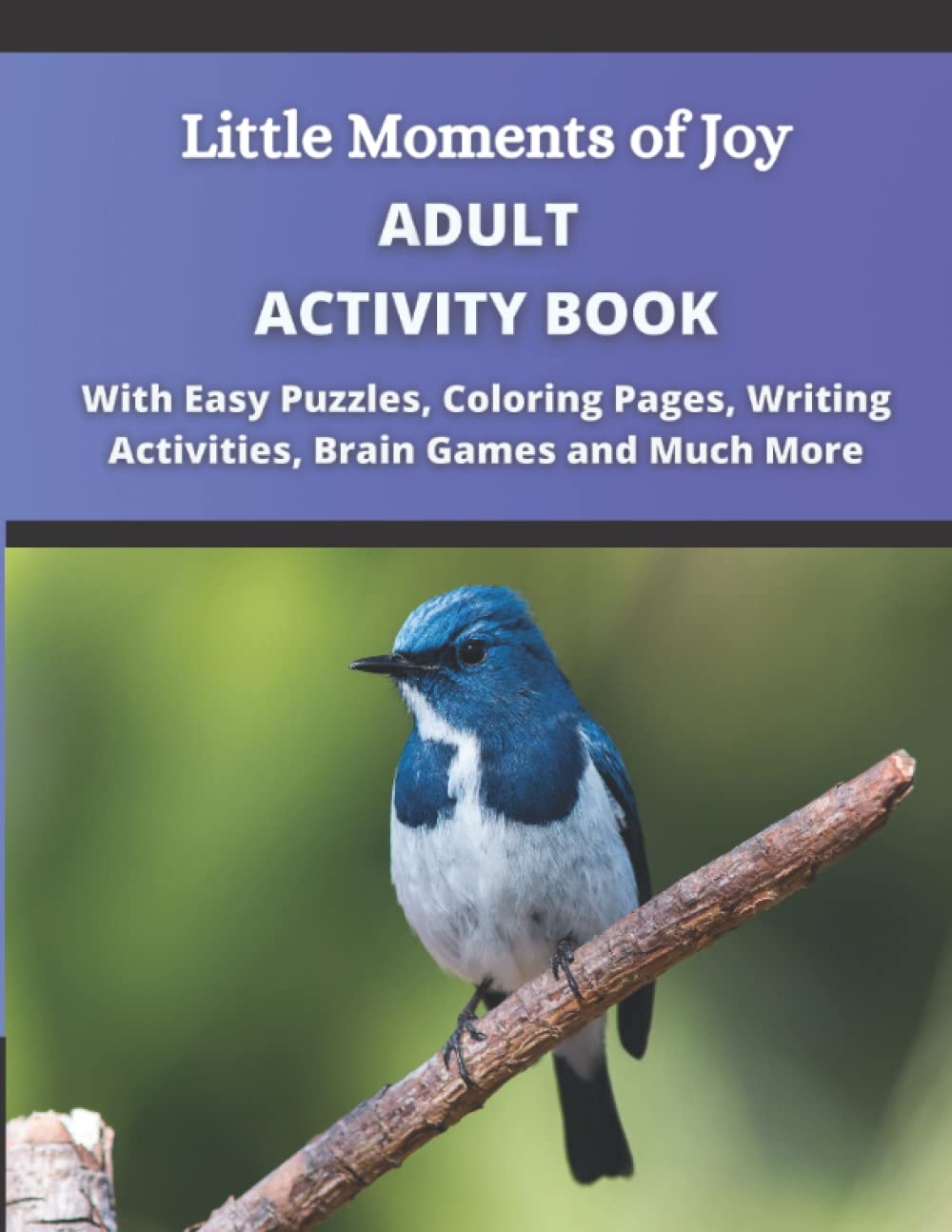 little moments of joy adult activity book: With Easy Puzzles, Coloring Pages, Writing Activities, Brain Games and Much More