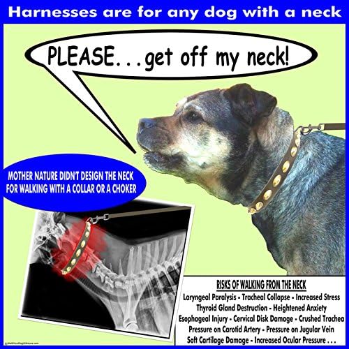 Walk Your Dog With Love Original Standard Edition No-Pull Harness for Dogs
