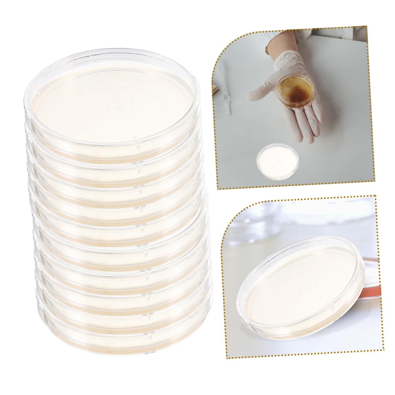 10pcs Tcbs Nutrient Agar Petri Plates 6cm Microbiology Cell Culture Dishes for Laboratory Research and Specimen Testing