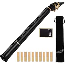C Key Mini Pocket Saxophone Sax ABS Material with Mouthpieces 10pcs Reeds Carrying Bag Woodwind Instrument Professional Saxophone