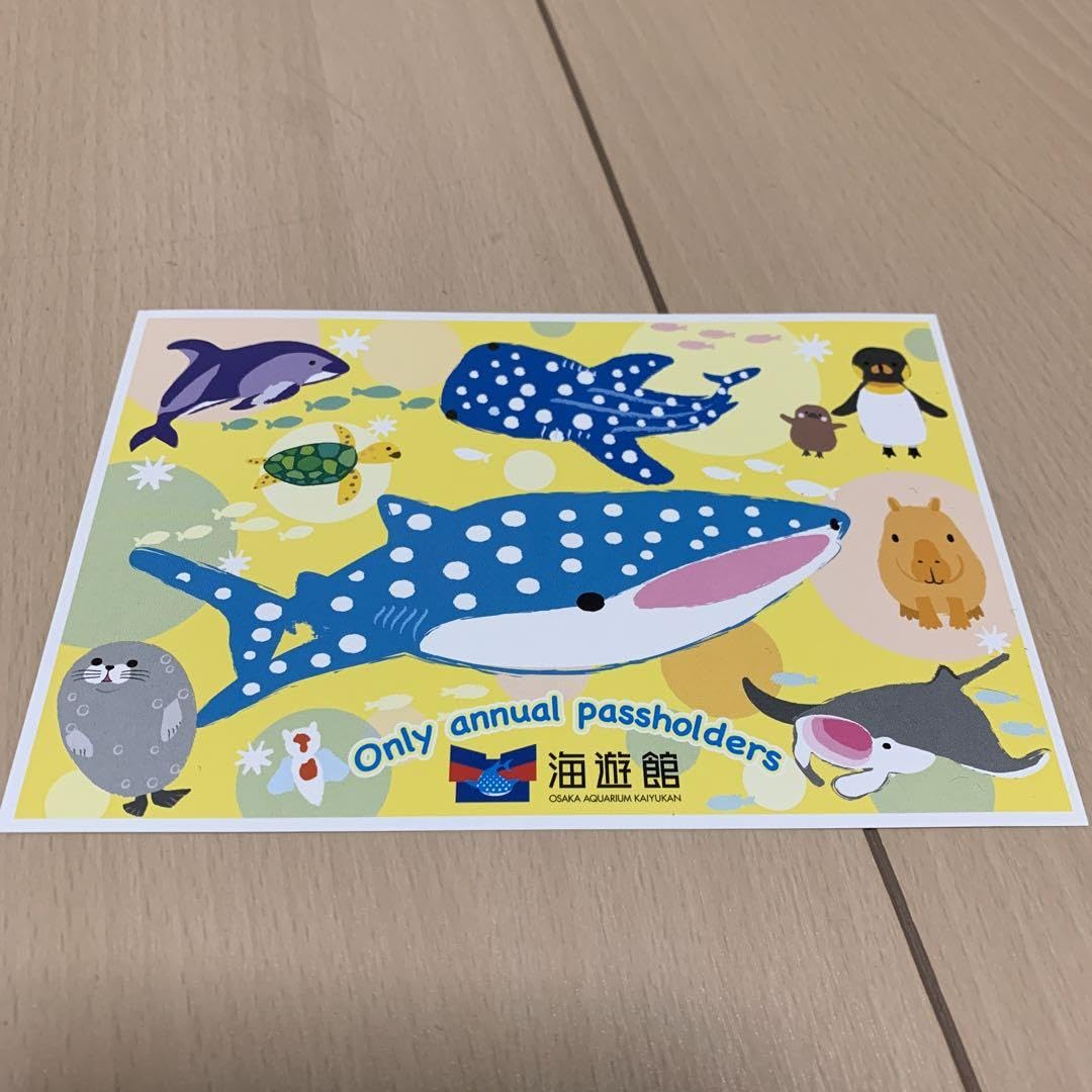 海がきこえる　セット② ポストカード　アクセサリー 海がきこえる ポストカードセット - メルカリ