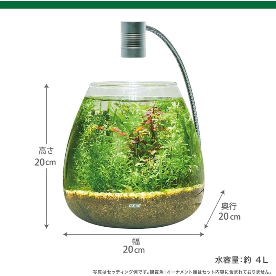 Amazon.co.jp: ジェックス MeGreen 新鮮な水草付き グラスアクア