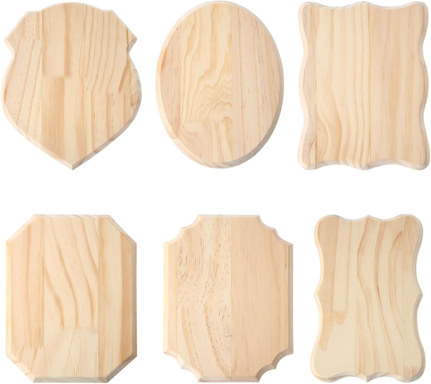 Yinkin 12 Pcs Blank Wooden Signs for Crafts Unfinished Wood Plaques for DIY Projects Hanging Signs, 6 Styles for Weddings Home Decor and Door Wall Art Activities Decoration