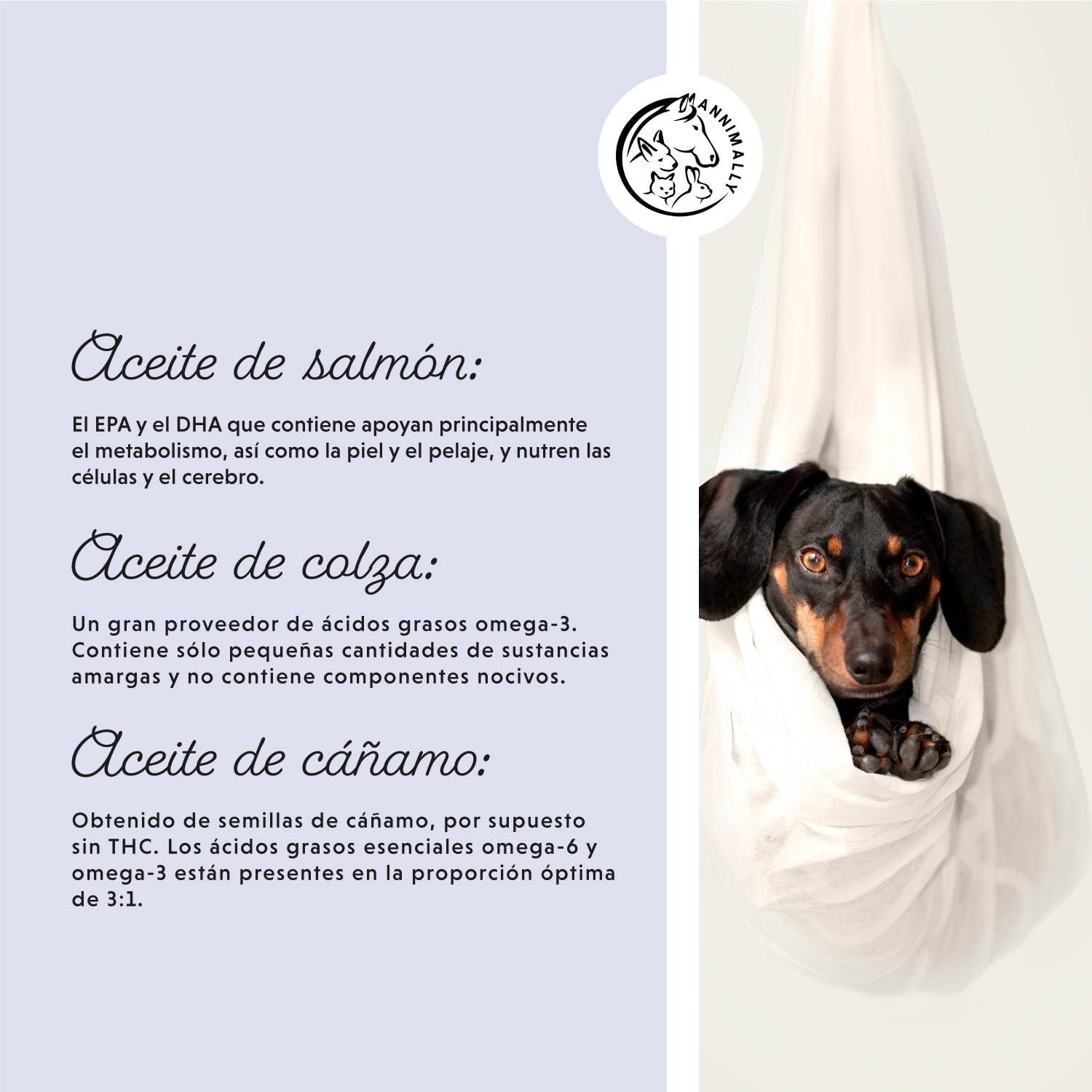 Aceite Barf para Perros 1000 ml - Aceite Barf con Omega 3-6-9 a Base de: Aceite de salmón, Aceite de Colza, Aceite de cáñamo y Aceite de borraja. Aceite alimentario para Perros como complemento