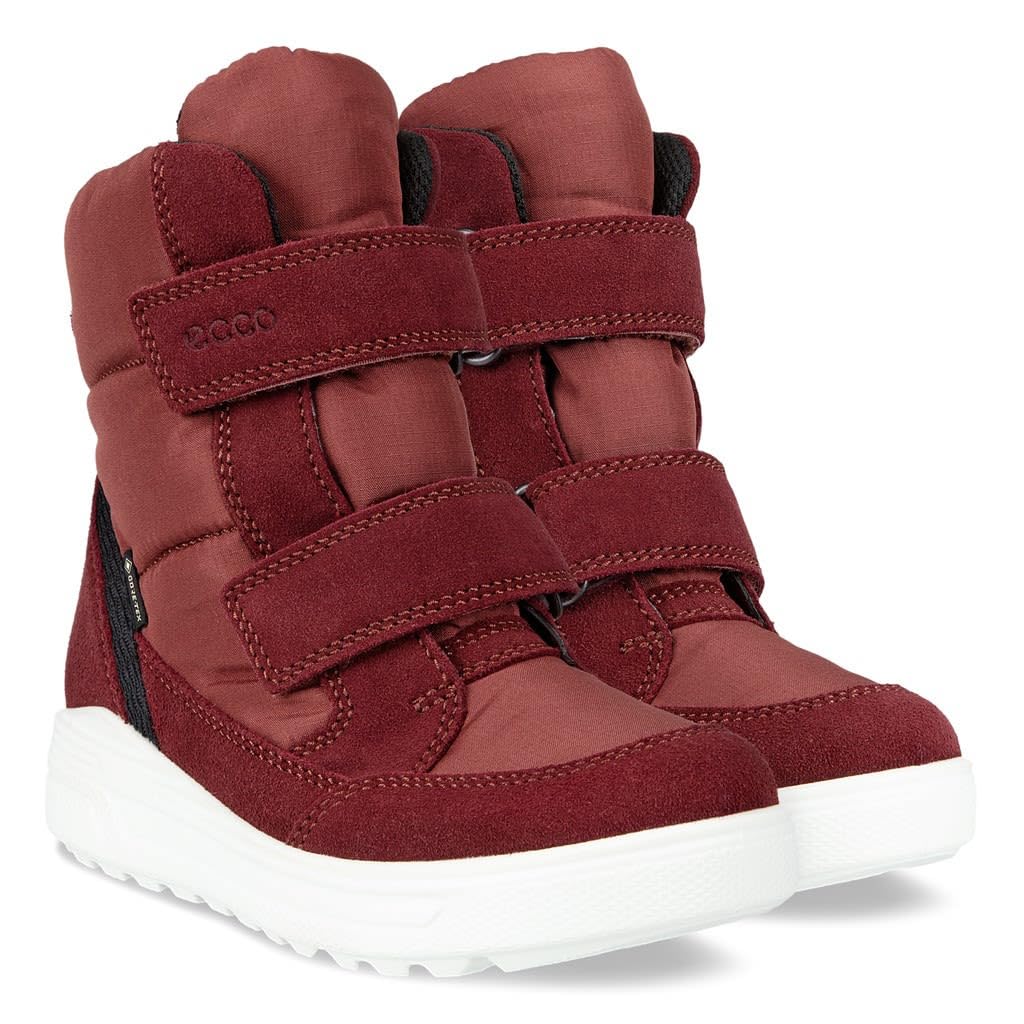 ECCO Urban Snowboarder, Snowboarders Urbanos