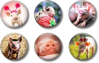 Cute Locker Magnets For Teens - Funny Baby Pigs Piglets - Fun School Supplies - Whiteboard Office or Fridge - Gift Set
