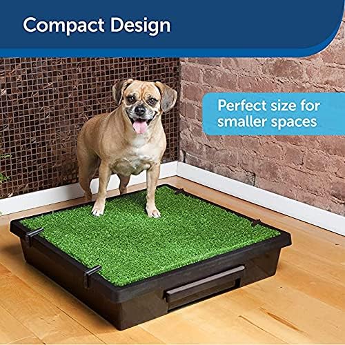 PetSafe Pet Loo - Small Portable Toilet for Dogs and Pets, Compact, Hygienic for Indoor Use with Grass Pad