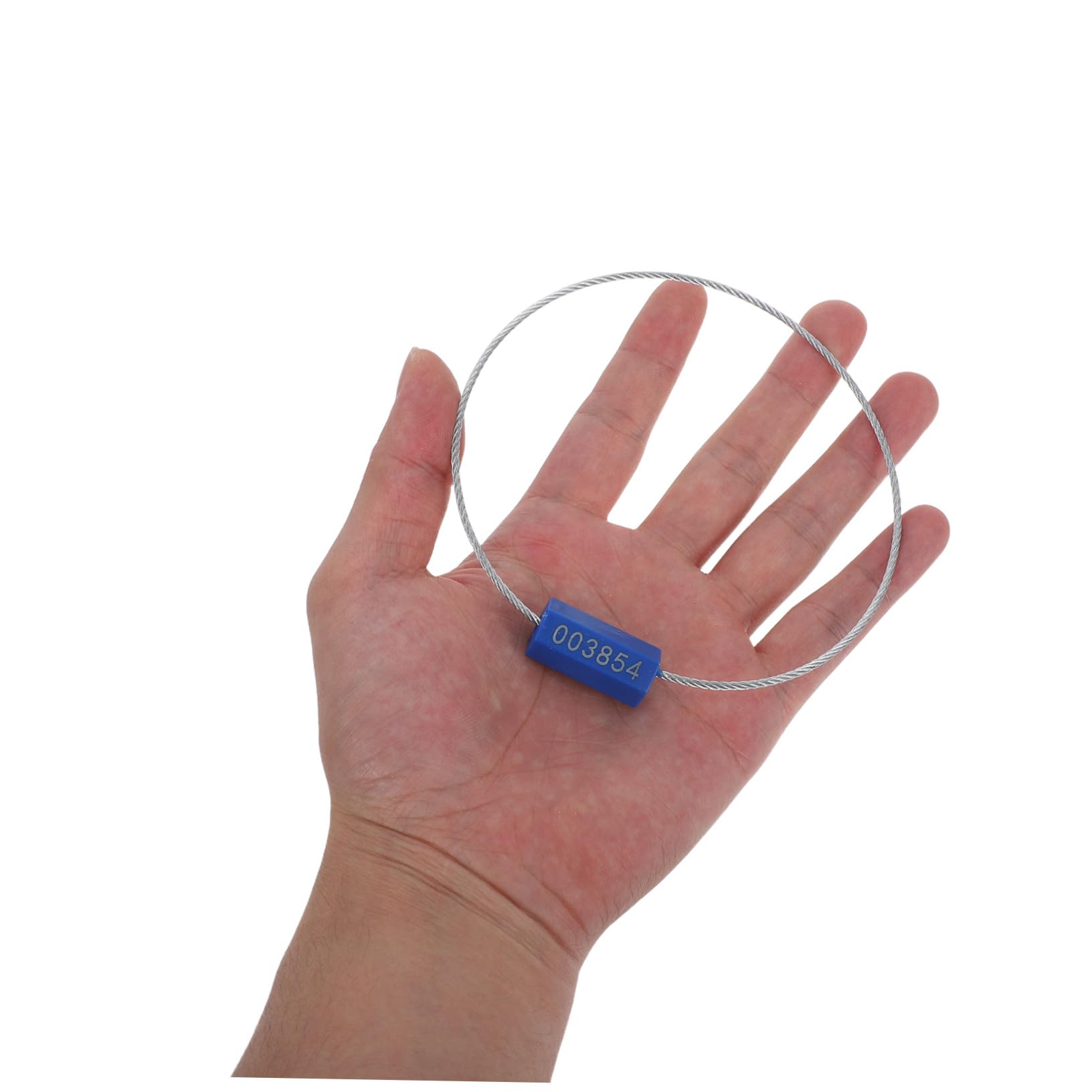 100 Pezzi Sigilli di Sicurezza in Acciaio Numerati Etichette Antimanomissione per Rimorchi e Container Fascette Autobloccanti Resistenti Temperature Estreme Sigilli Precisione per