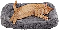 Enjoying Cat Mat Bed 10x15 Small Pet Bed with Raised Pillow Rim - Anti-Skid Crate Cushion for Kittens Puppies Curled Sleep