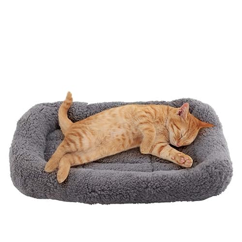 Enjoying Plush Cat Bed Mat 10" x 15" Pet Cushion with Pillow Around for Puppy Cat Curling Sleep Cat Pad for Cat Carrier/Crate Small Dog Self-Warm Bed, Antiskid Bottom, Small - 38L x 25W x 5H cm