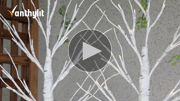 ☆最終価格☆ 228cm 光る白樺の木 TWINKLE BIRCH TREE