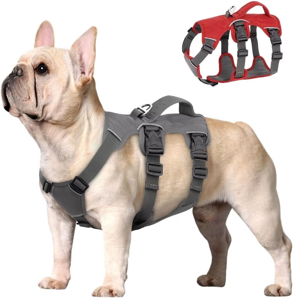 Beirui Escape Proof Dog Harness - Reflective, No Pull with Padded Handle, Waterproof for Daily Walking & Training (Gray, Chest 10-18")