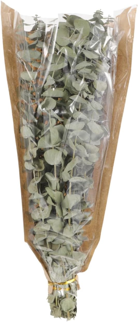 Alipis Dried Lavender and Eucalyptus Stems Bouquet, Natural Preserved Shower Plants Fresh Eucalyptus Leaves and 40g Dried Lavender Bundle for Bathroom Décor and Aromatherapy