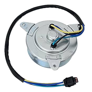 ゴンファン様 51P-ojQLTuL._UF1000,1000_QL80_.jpg