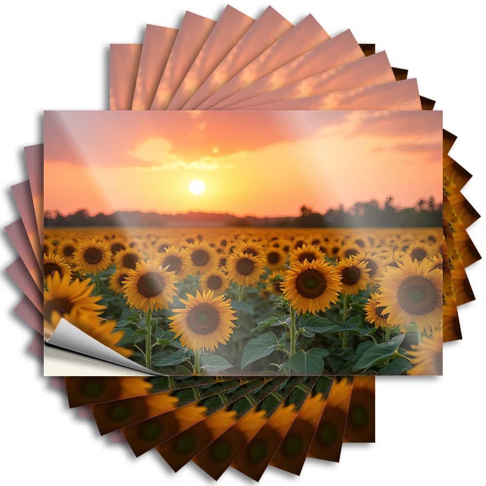 Fzfn Colour Personalized Bumper - Great Beer Wall Sunset In The Field Of Sunflowers(12X18cm)